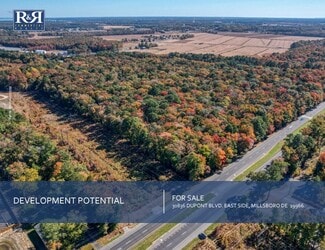 More details for E Side of Rte 113 30836 DuPont Hwy, Dagsboro, DE - Land for Sale