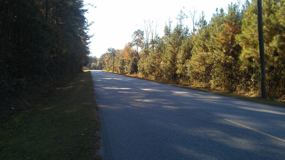 Frances Meeks Way, Richmond Hill, GA for sale - Building Photo - Image 2 of 4