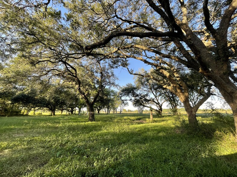 4903 Davenport Pky, Rosharon, TX for sale - Aerial - Image 1 of 8