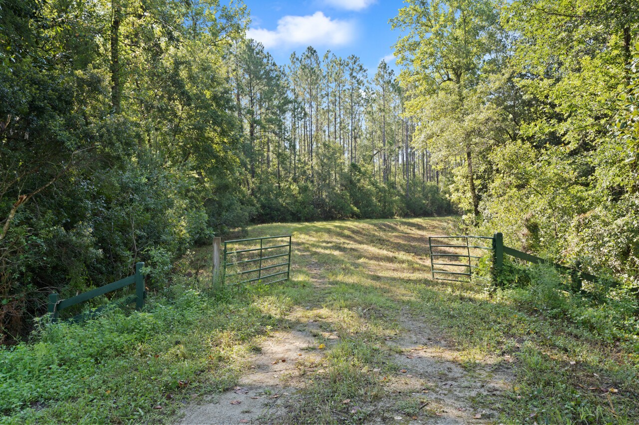 00 Highway 20, Hosford, FL for sale Building Photo- Image 1 of 1