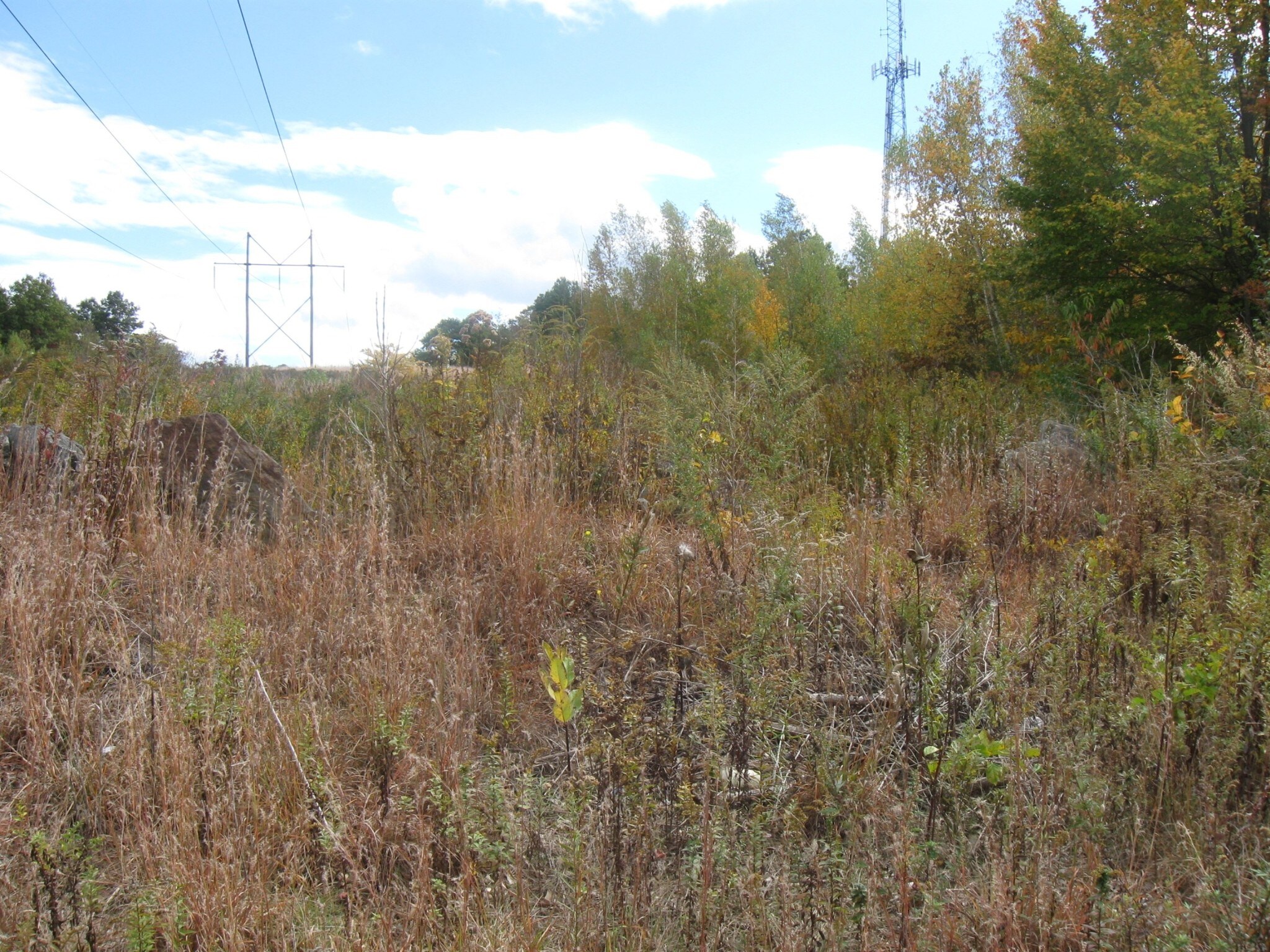 1198 Wolcott Rd, Wolcott, CT for sale Building Photo- Image 1 of 1