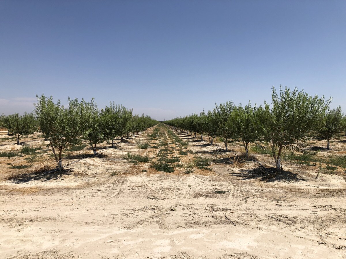 Firebaugh Ave, 1 Mi SW Of Ave 12, Madera, CA 93637