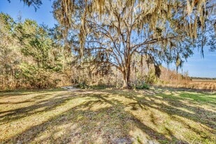 580 Old Gress Island Rd, Midway GA - Land
