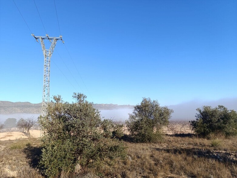 Land in Yecla for sale - Building Photo - Image 3 of 11