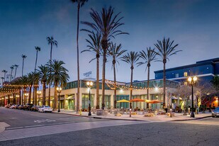 190 W Center Street Promenade, Anaheim CA - NNN Property