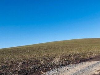 More details for 122 Sand Buckler Dr, Pullman, WA - Land for Sale