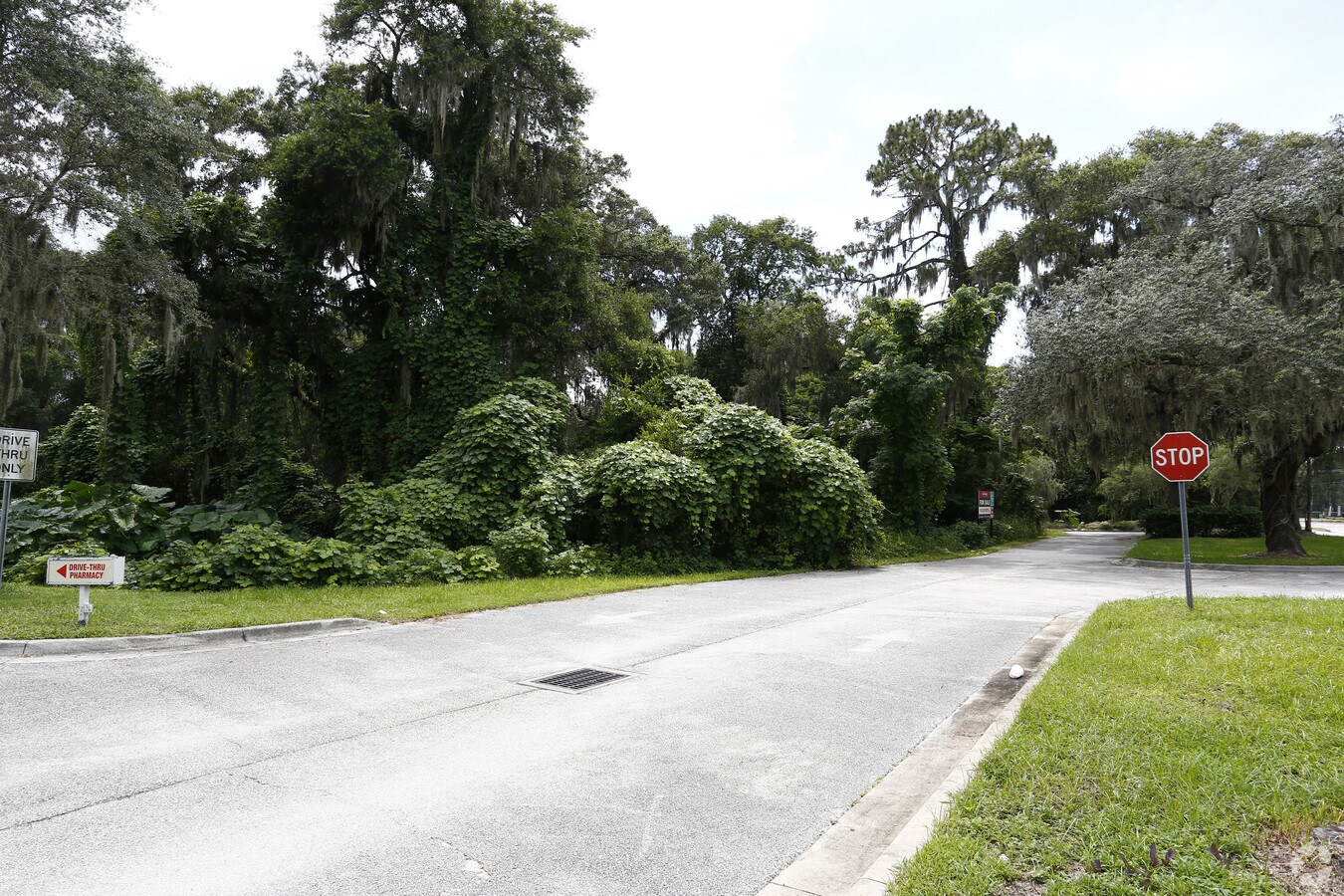 903 E Lumsden Rd, Brandon, FL 33511