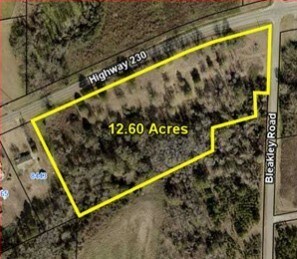 Highway 230, Unadilla, GA for sale - Primary Photo - Image 2 of 2