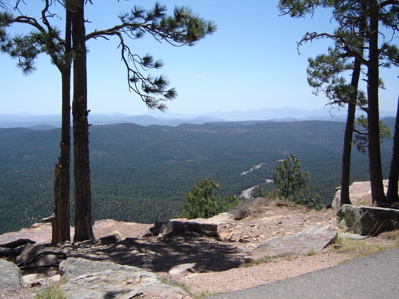 8754 Clark Rd, Show Low, AZ 85901