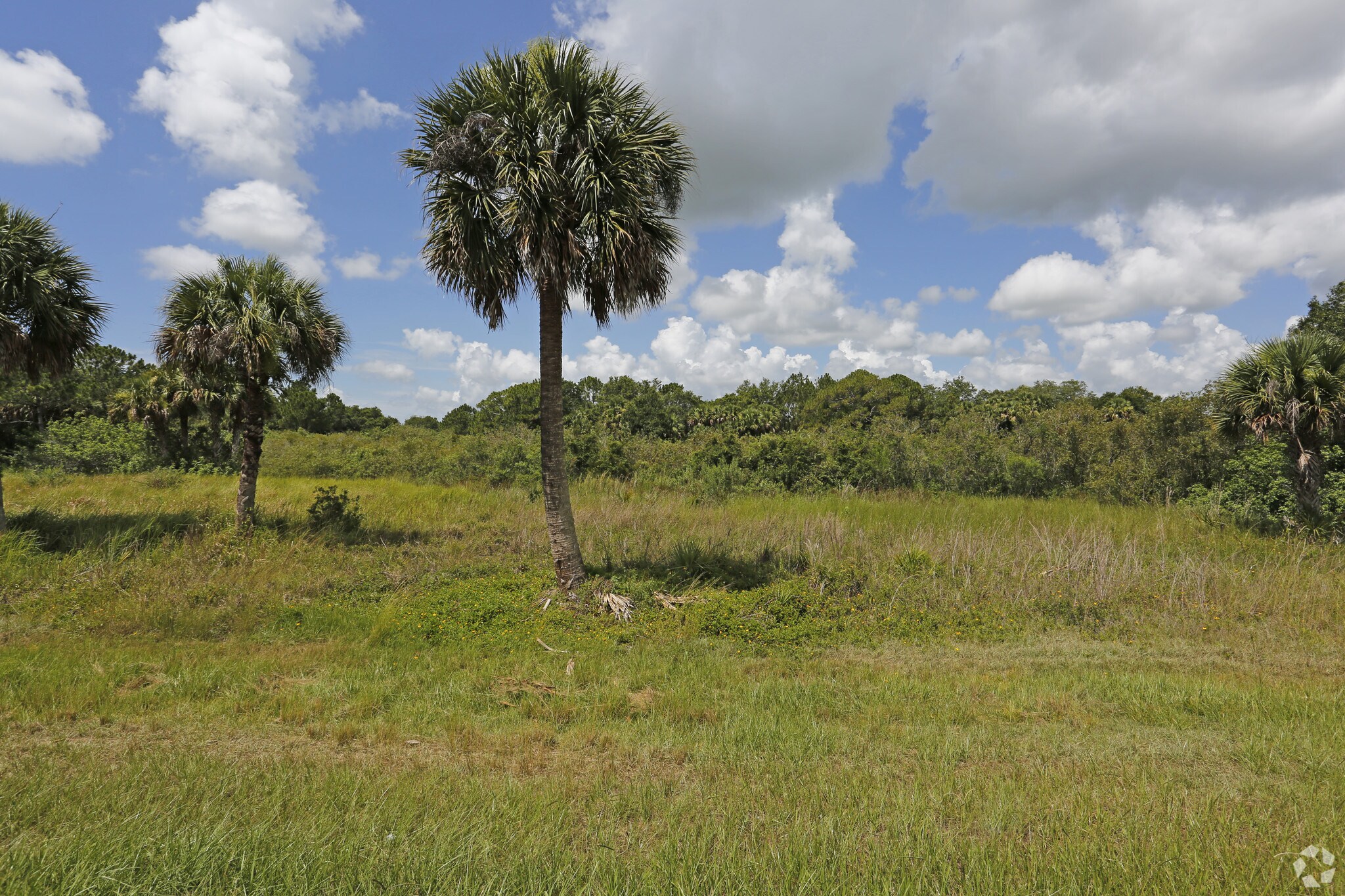 2865 Hwy 98 N, Okeechobee, FL for sale Primary Photo- Image 1 of 1