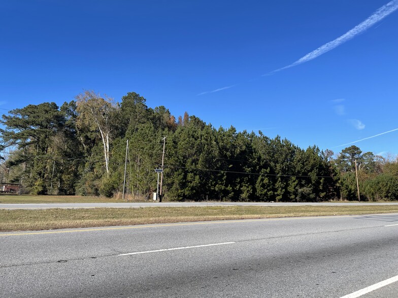 0 17 Hwy, Richmond Hill, GA for sale - Other - Image 1 of 5