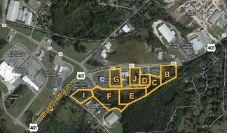 More details for 460 Fox Park Rd, Louisburg, NC - Land for Sale