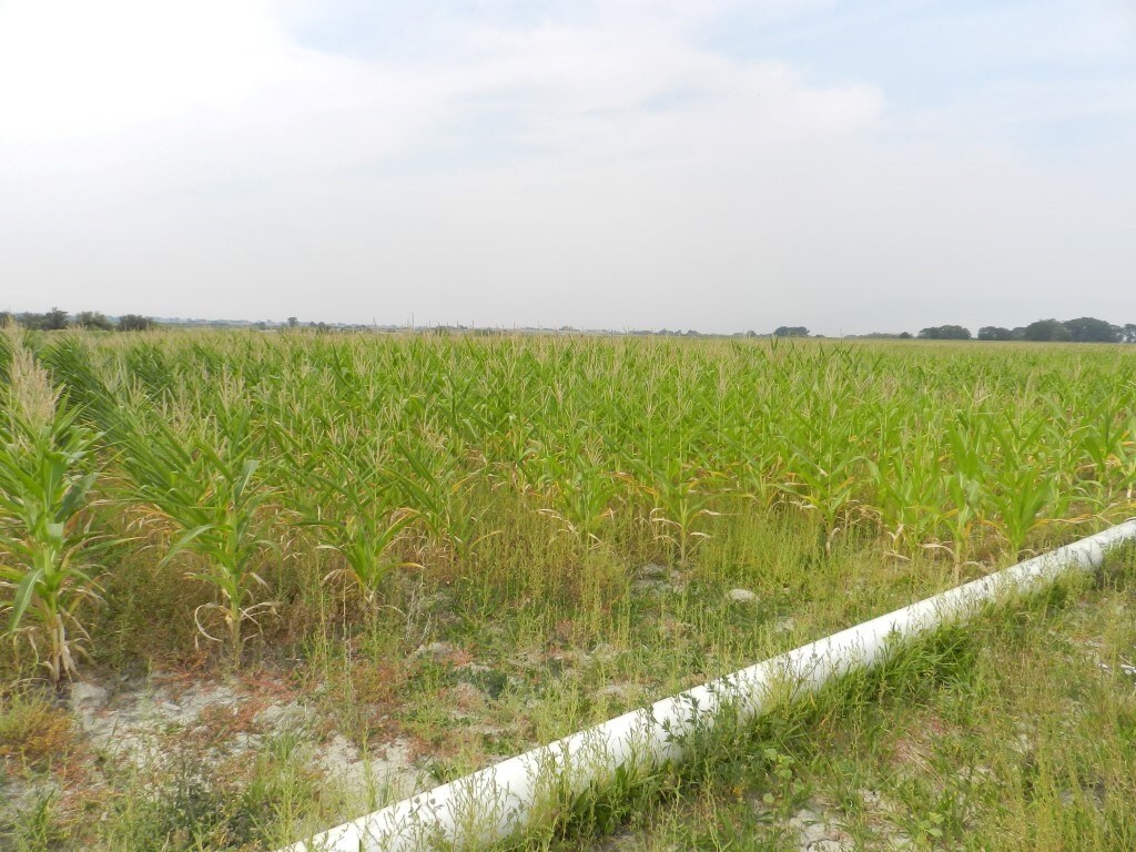 59304 Banner Rd, Olathe, CO for sale Building Photo- Image 1 of 1