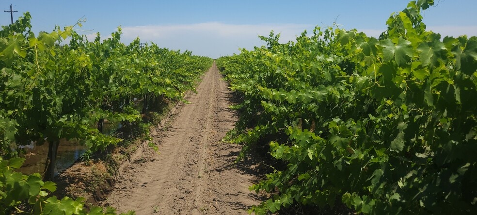 7715 Road 23 1/2, Madera, CA for sale - Primary Photo - Image 1 of 7