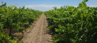 More details for 7715 Road 23 1/2, Madera, CA - Land for Sale