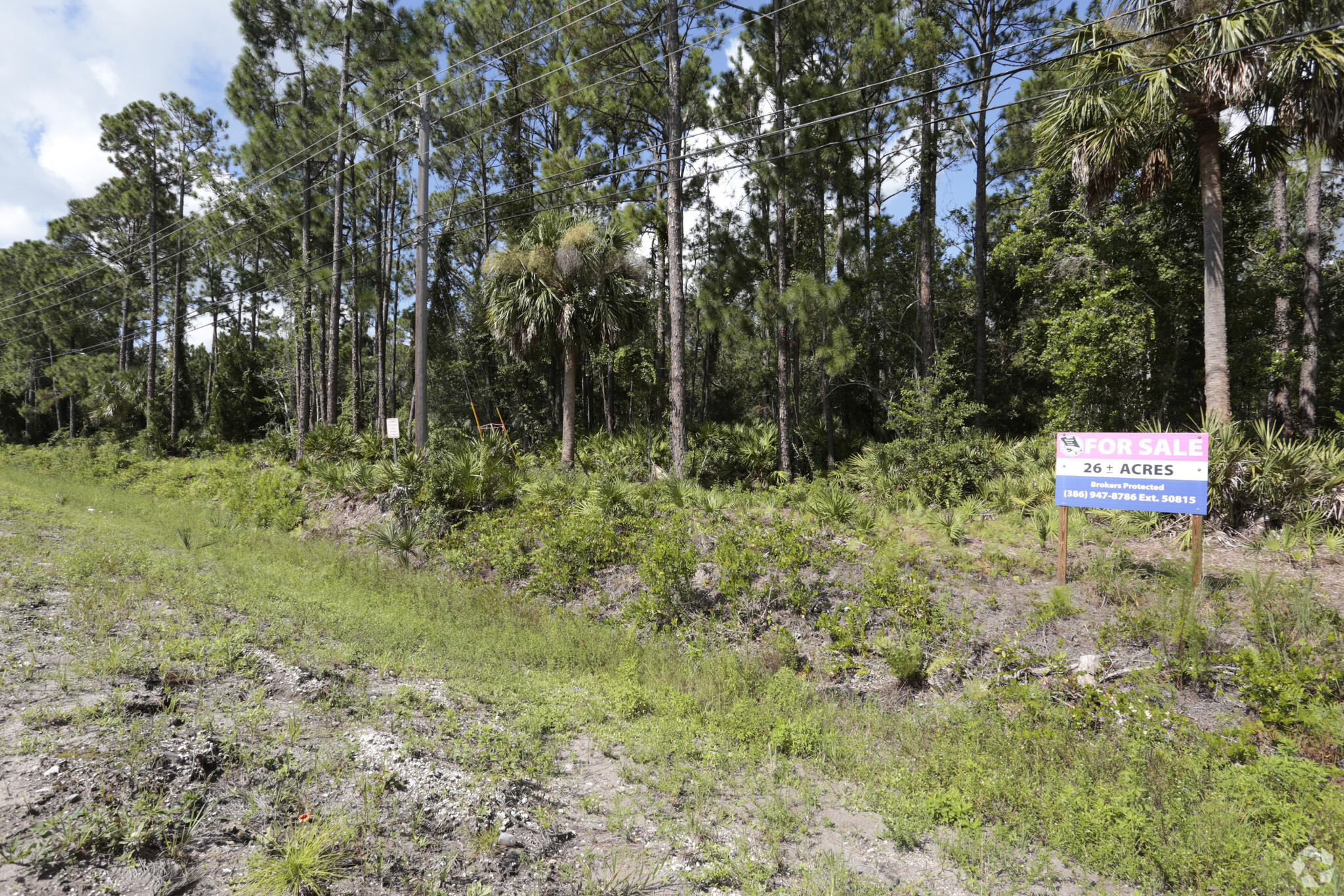 800 Bill France Blvd, Daytona Beach, FL for sale Primary Photo- Image 1 of 1