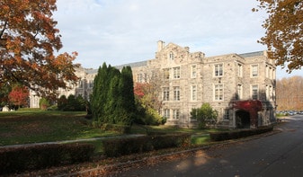 The Sales - Loft