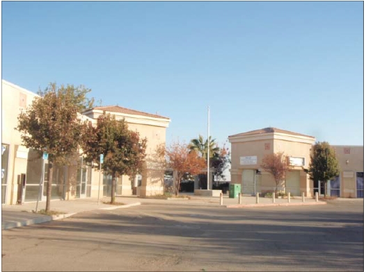 21651 W Manning Ave, San Joaquin, CA for lease - Primary Photo - Image 1 of 18