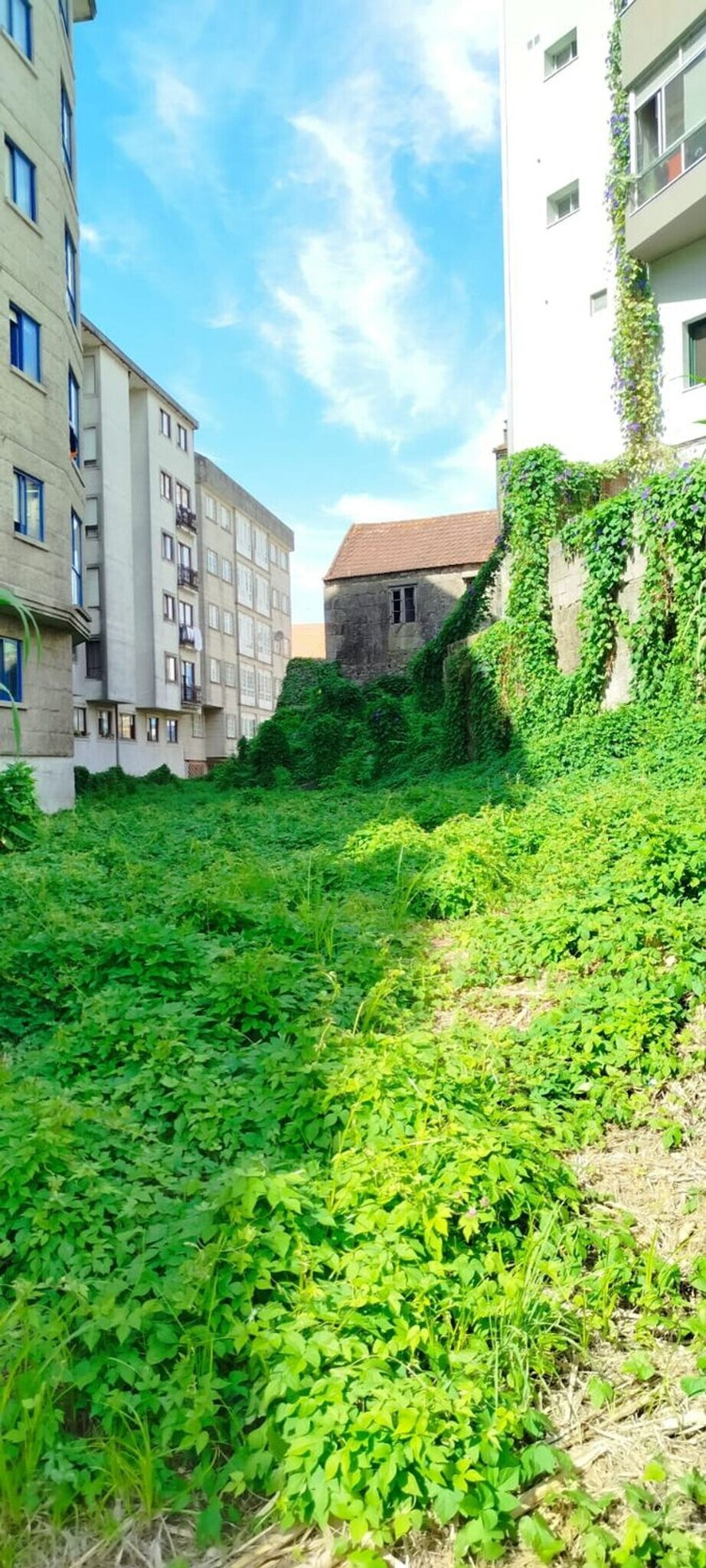 Land in Redondela, Pontevedra for sale Building Photo- Image 1 of 29