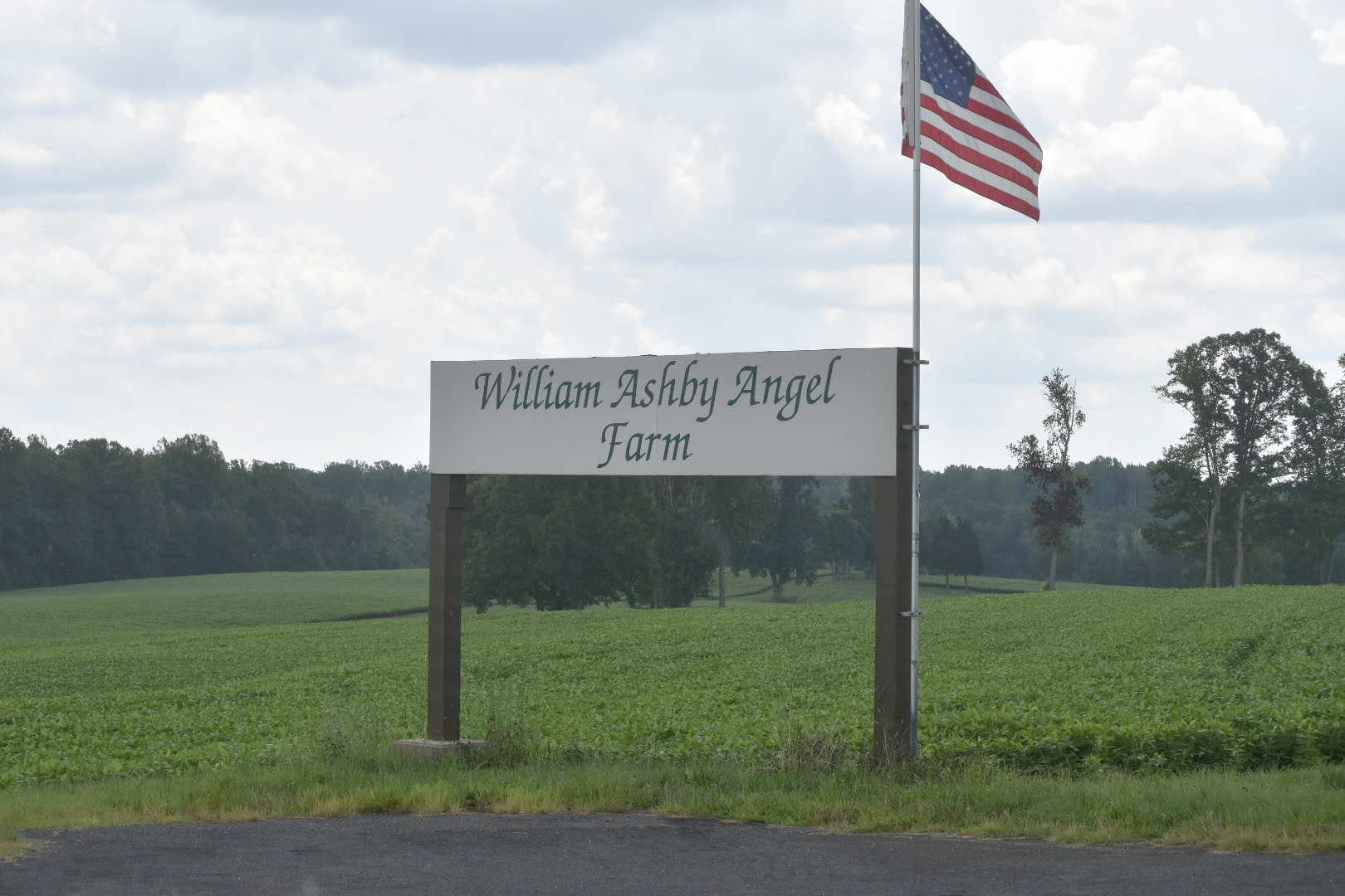 8301 Angel Pardue Rd, Stokesdale, NC for sale Primary Photo- Image 1 of 1