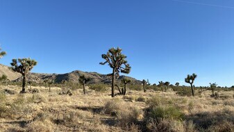 Joshua Tree Ca Commercial Real Estate For Sale Loopnet Com