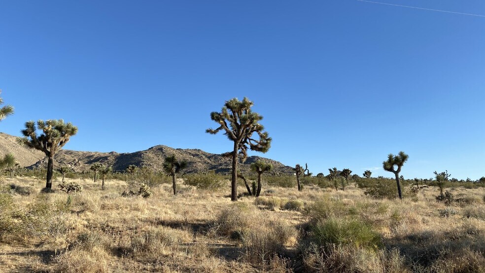 mobile homes for sale in joshua tree ca