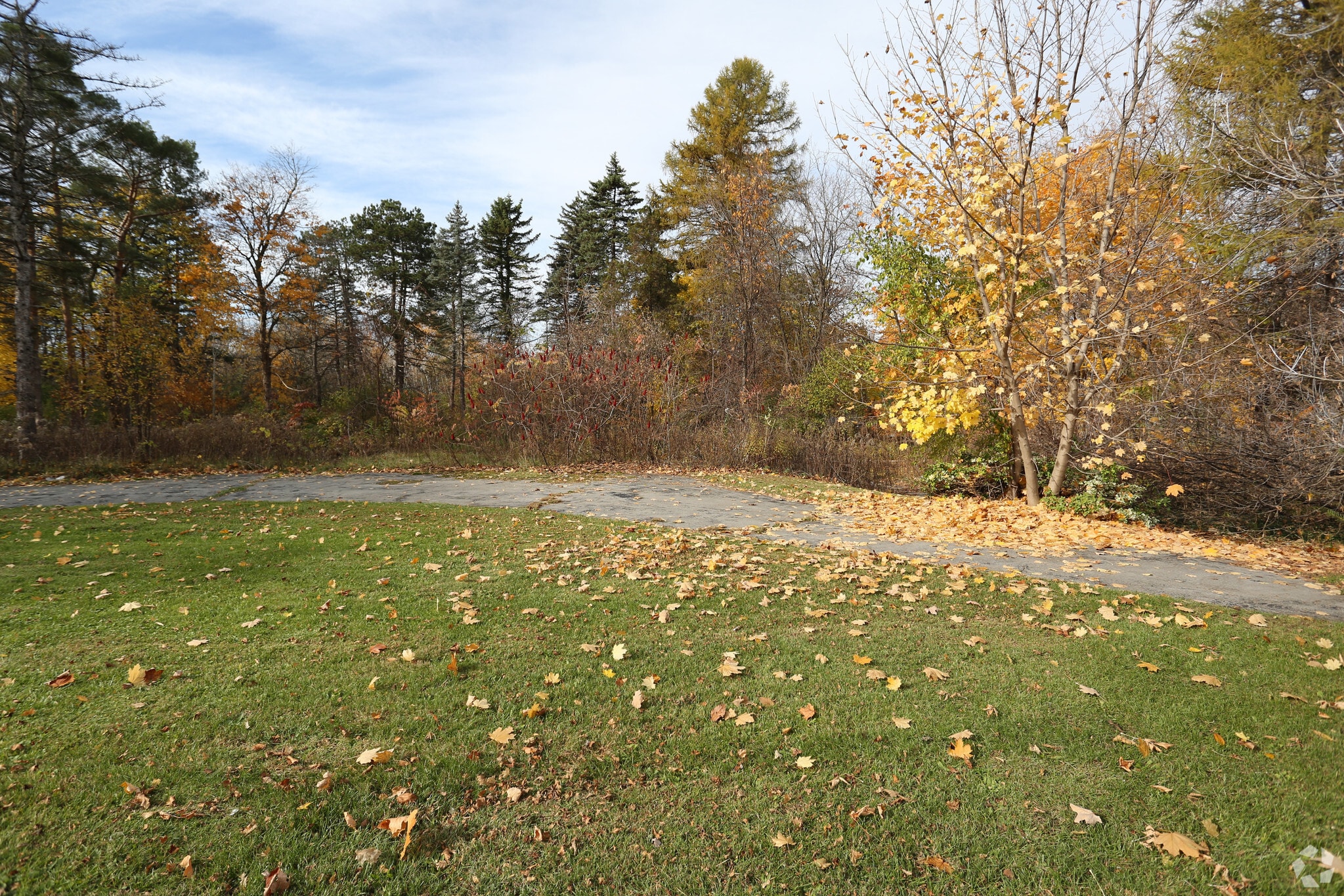 444 S Main St, North Syracuse, NY for sale Primary Photo- Image 1 of 1