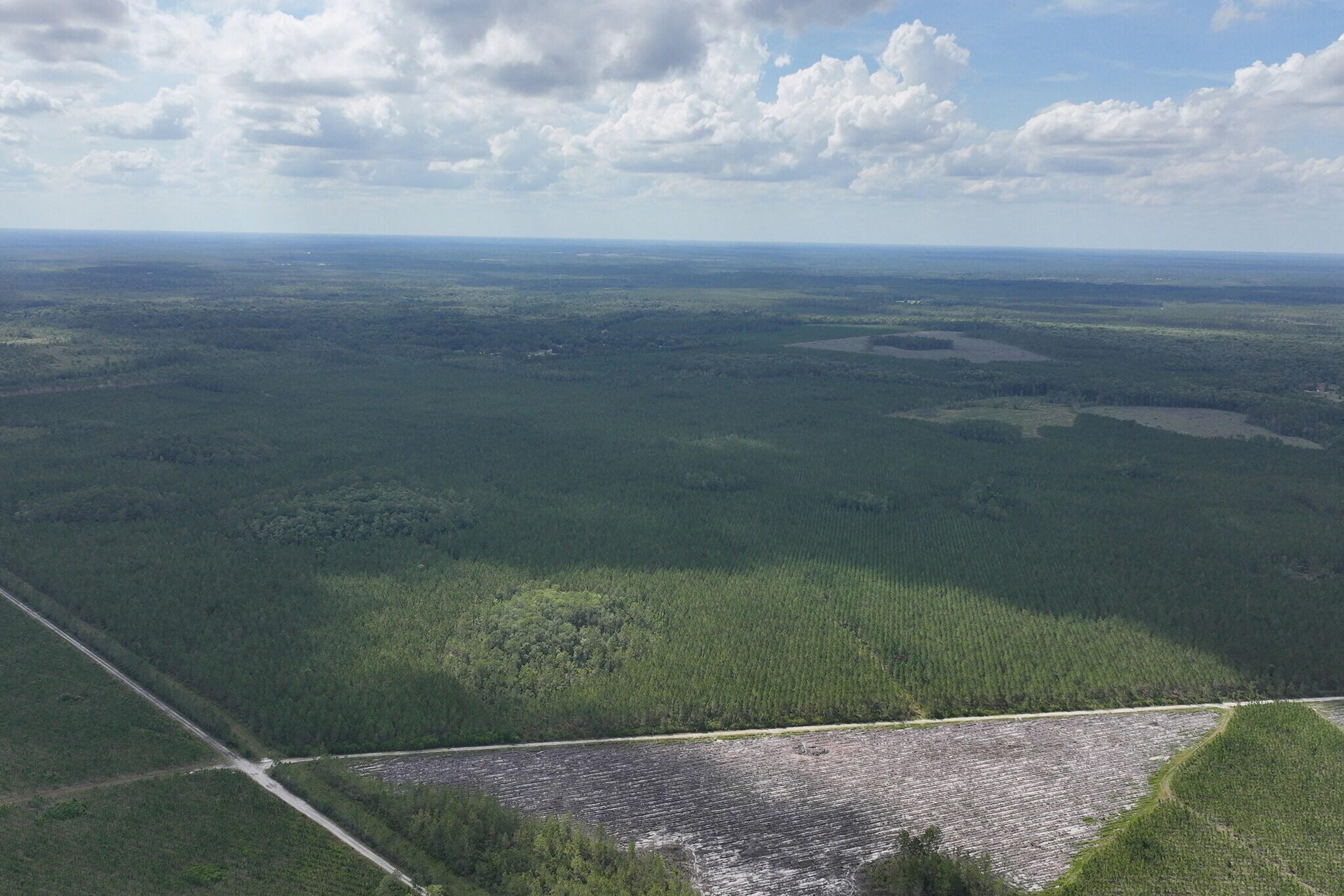 County Road 121, Bryceville, FL 32009 Nassau County Residential