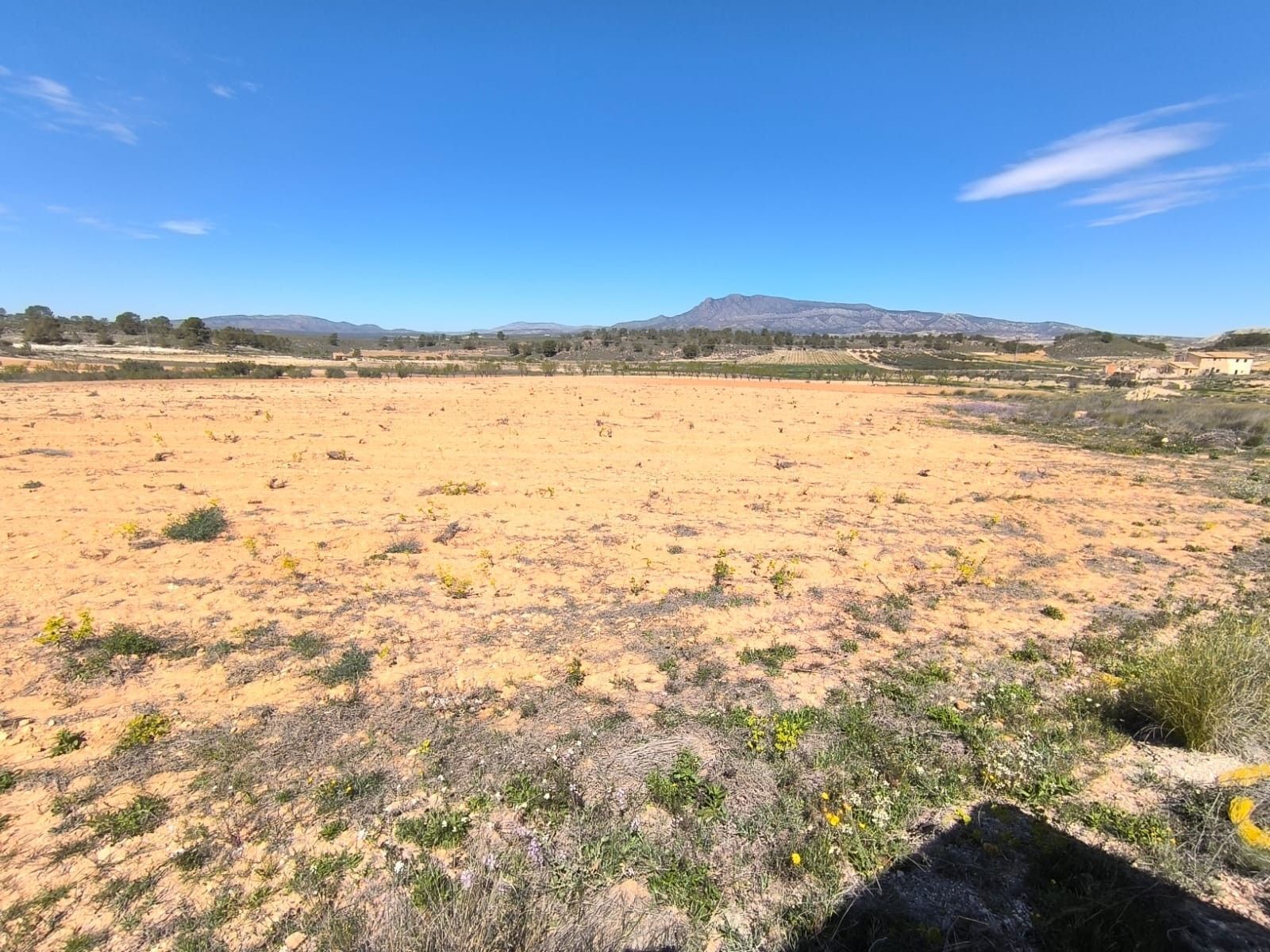 Land in Jumilla for sale Building Photo- Image 1 of 5