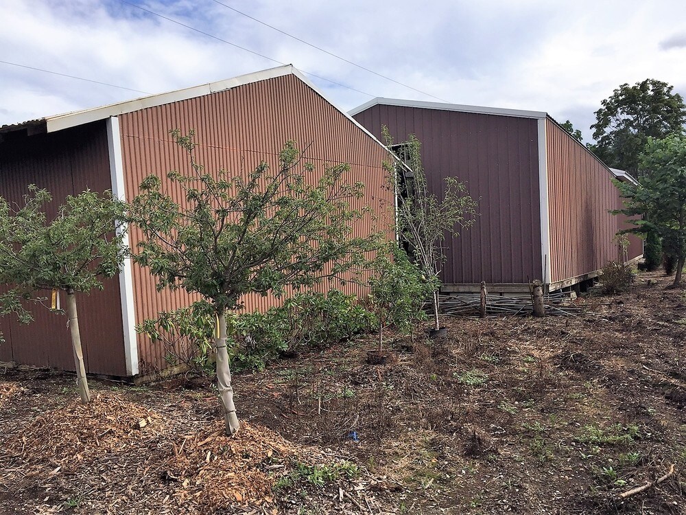 20900 Merriman Rd, Romulus, MI 48174 Schoedel's Nursery