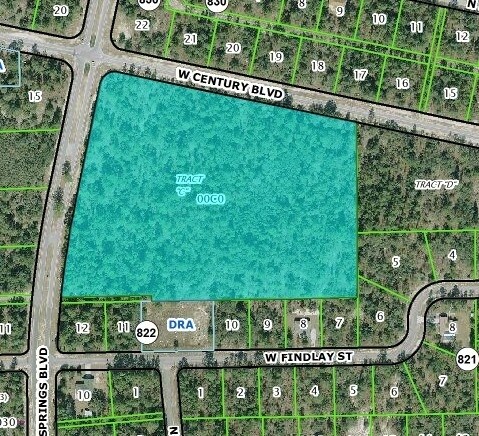 4630 W Citrus Springs Blvd, Dunnellon, FL for sale - Primary Photo - Image 1 of 1