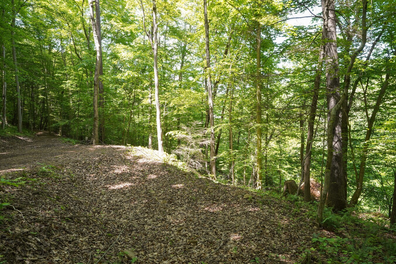 View Photo