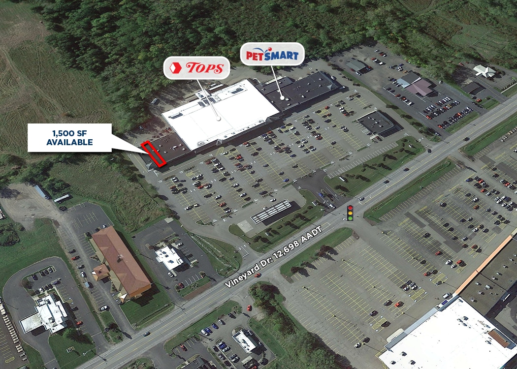 3955 Vineyard Dr, Dunkirk, NY for lease Building Photo- Image 1 of 1