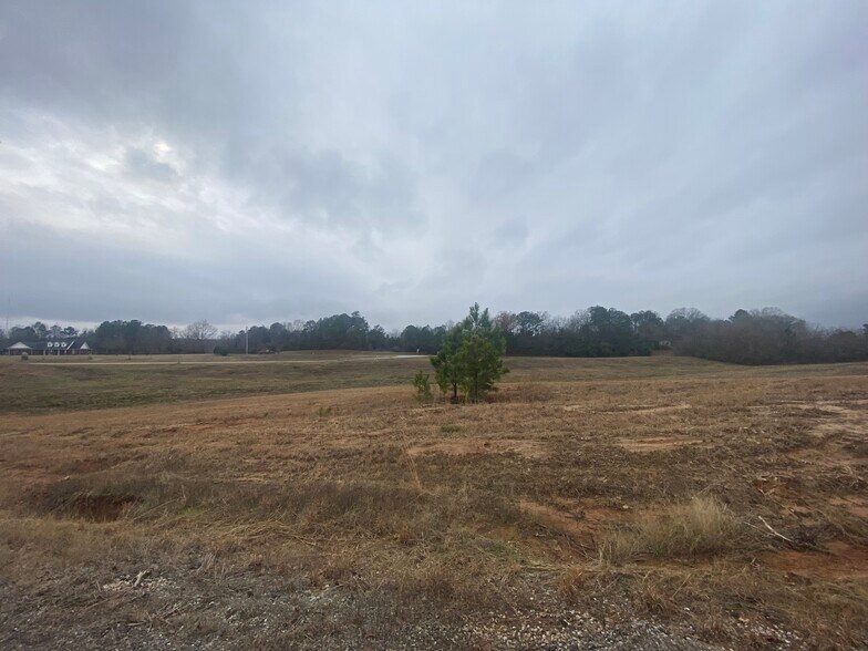 1200 Fawn Grove Road, Mantachie, MS 38855 Land for Sale