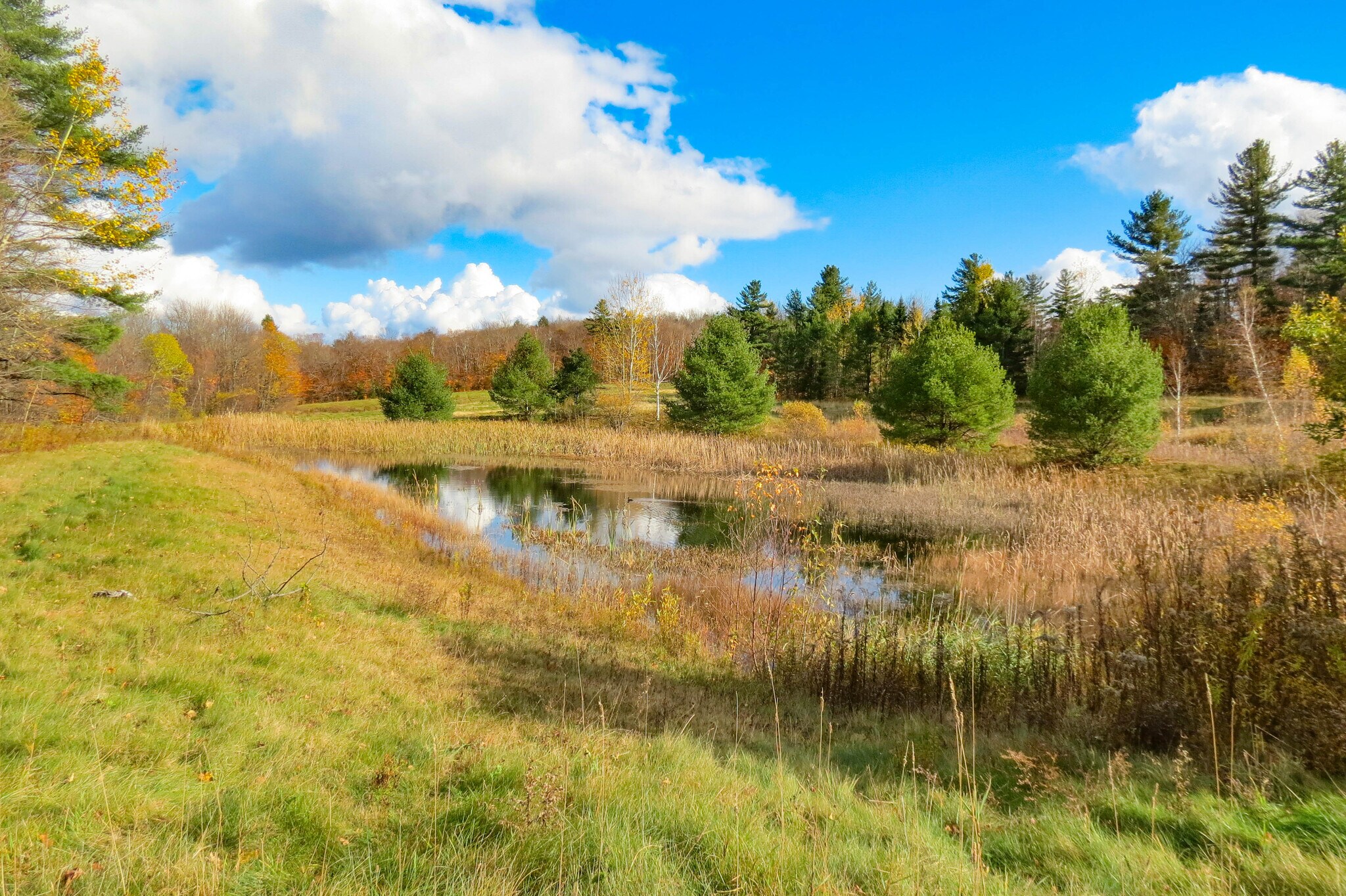 6802 Popple Dungeon Rd, Chester, VT for sale Other- Image 1 of 1
