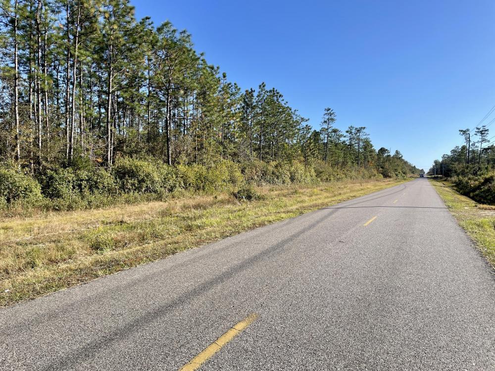 Dog River Road, Theodore, Al 36582 - Dog River Road Development Tract 