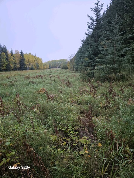 Ski Boot Hill Rd, Fairbanks, AK for sale - Building Photo - Image 3 of 5