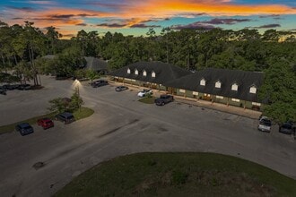 14100 N Highway 19, Salt Springs, FL - AERIAL map view - Image1