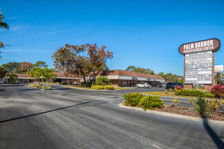 More details for 36310-36472 Us Hwy 19 N, Palm Harbor, FL - Office for Lease