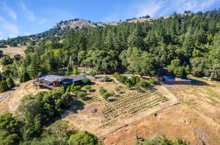 20799 Highway 128, Yorkville, CA - Vineyard