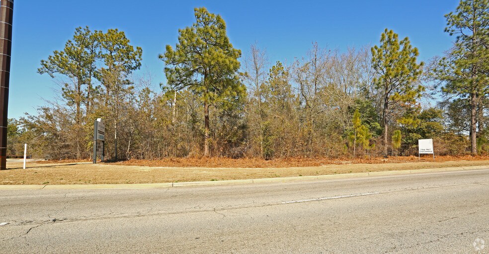Timbermill Rd, Lexington, SC for sale - Primary Photo - Image 1 of 1