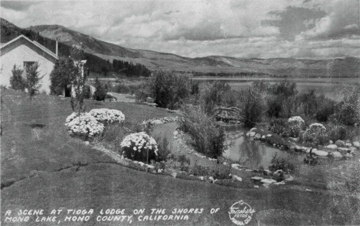 View Photo