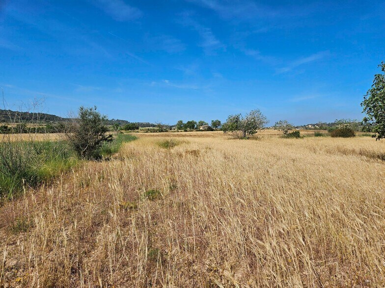 Land in Sineu for sale - Site Plan - Image 2 of 10