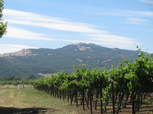 2574 Ledgewood Rd, Fairfield, CA for sale Primary Photo- Image 1 of 10