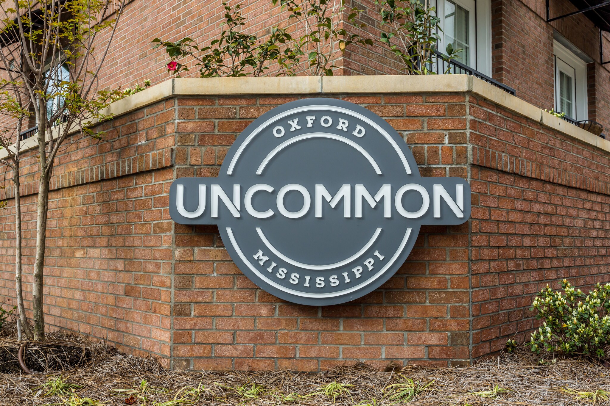 514 E Jackson Ave, Oxford, MS 38655 Retail for Lease