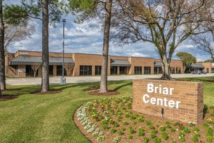 Briar Center - Storefront Property