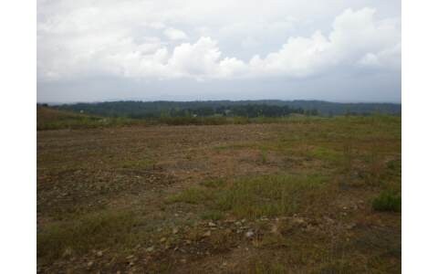 Eller Rd, Ellijay, GA for sale Primary Photo- Image 1 of 1