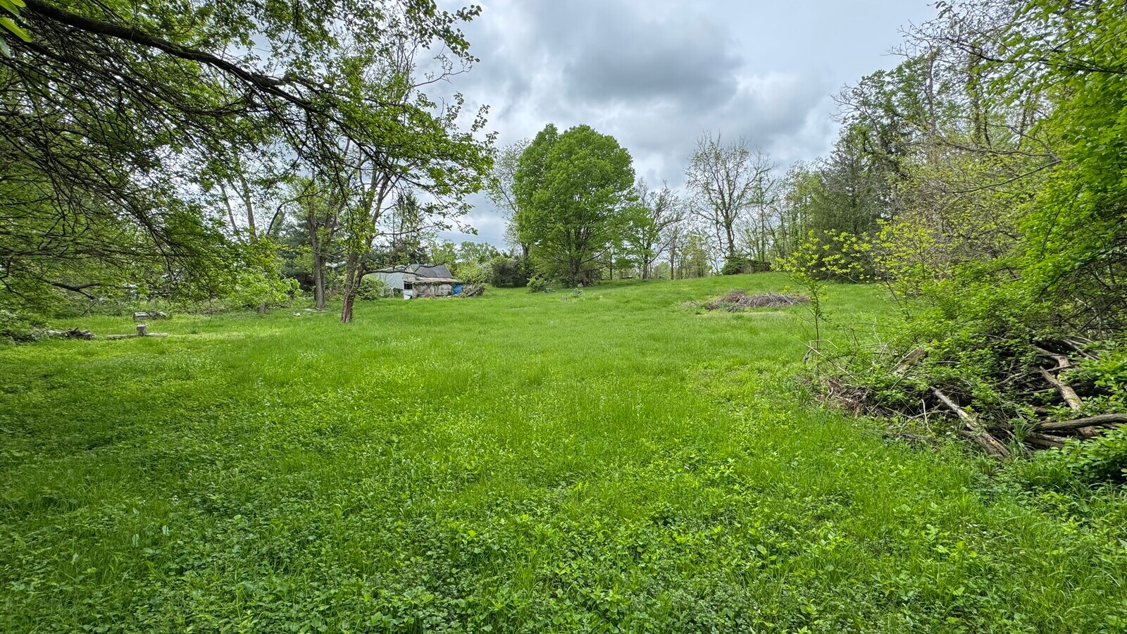 View Photo