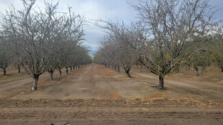 More details for S. side of Jensen W. of S. Lake Ave. ave, Kerman, CA - Land for Sale