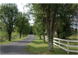 4000 Old Lexington Rd, Winston-Salem, NC for sale Primary Photo- Image 1 of 1